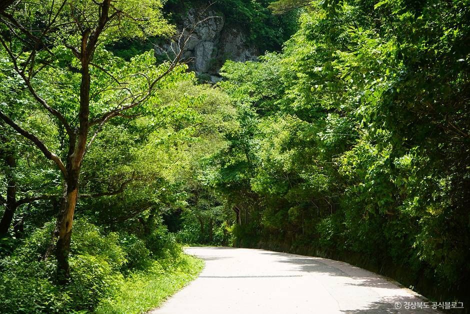주산지(청송 국가지질공원)