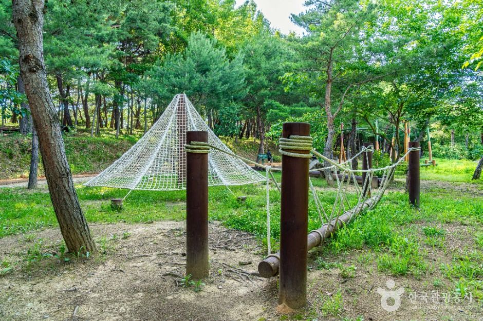 안동_천년숲 (8)