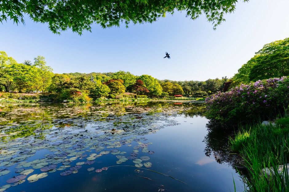 국립서울현충원