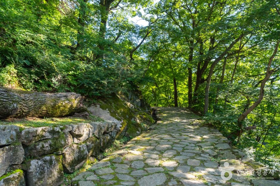 회진당원의대사지비