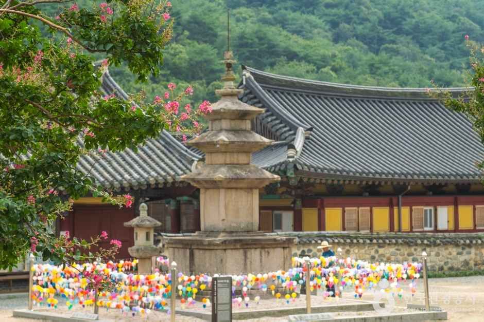표충사(밀양)
