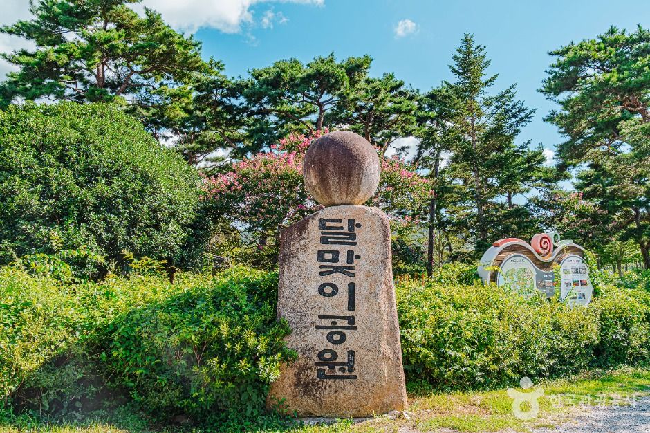 달맞이공원