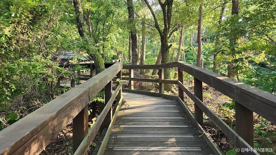 thumbnail-장척계곡-4