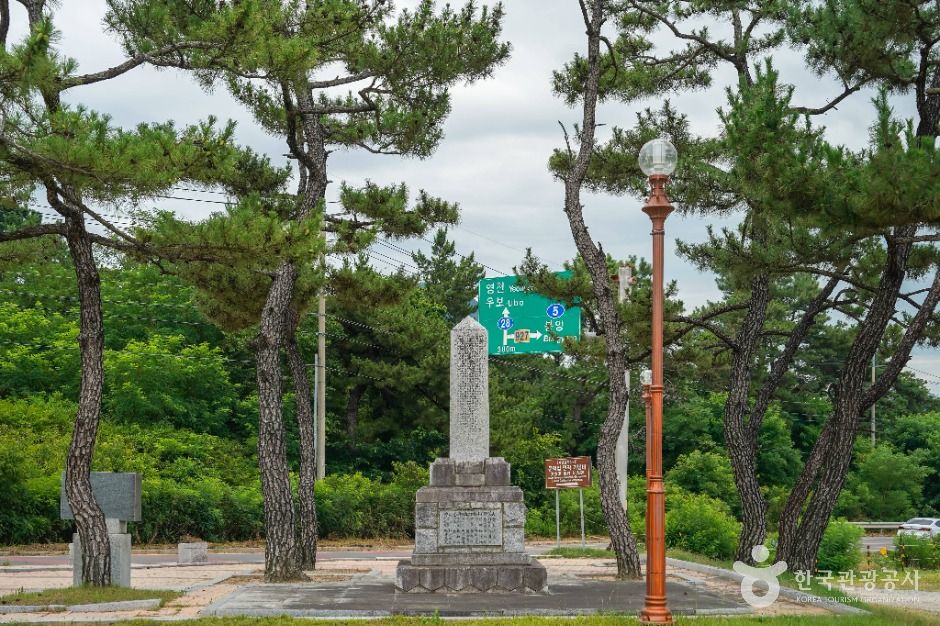 문익점 면작기념비