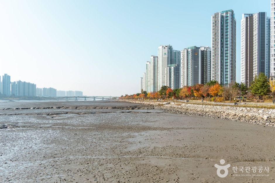 thumbnail-소래포구해오름광장-5