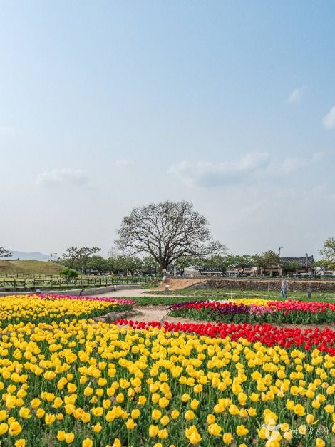 경주역사유적지구 [유네스코 세계유산]