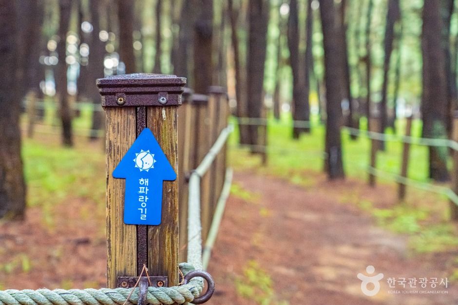 평해사구습지 생태공원