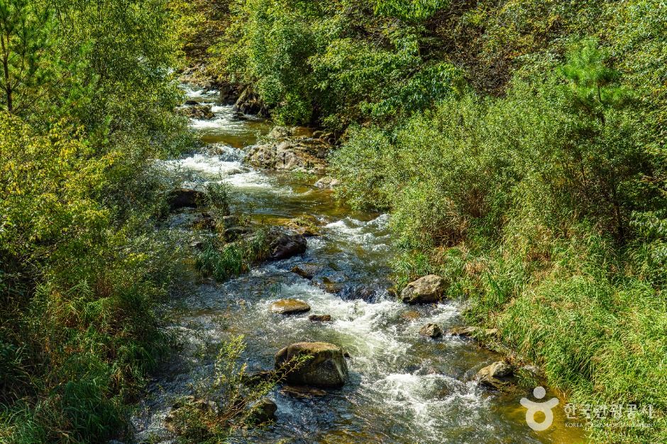 인제_내심적계곡 (5)