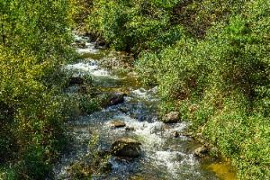 인제_내심적계곡 (5)