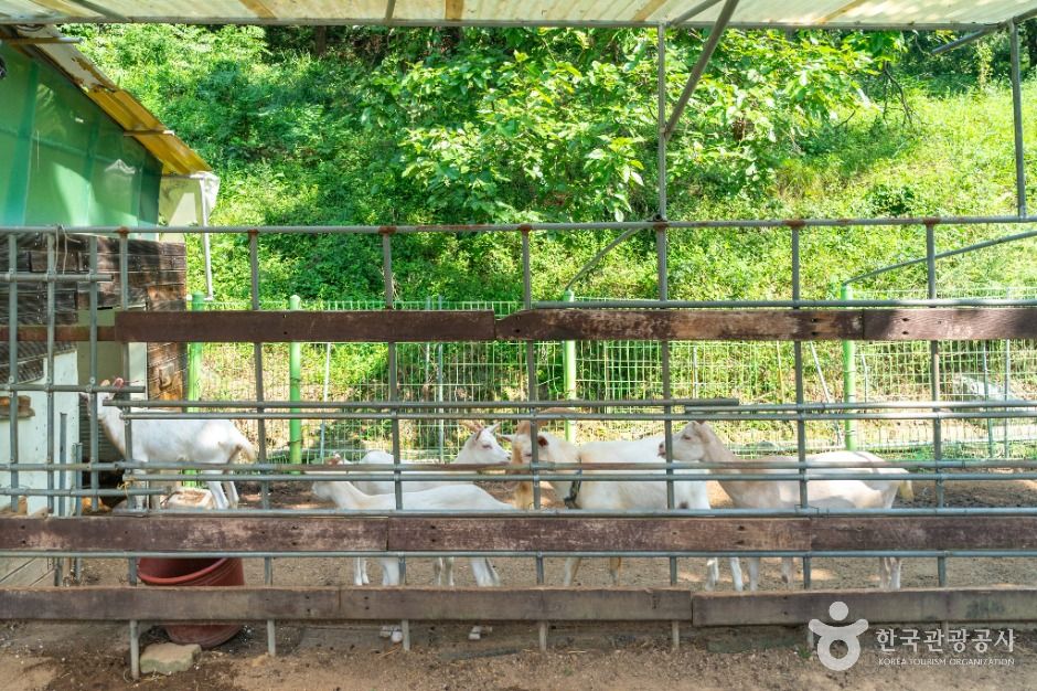 원주_원주곤충마을박물관 (1)