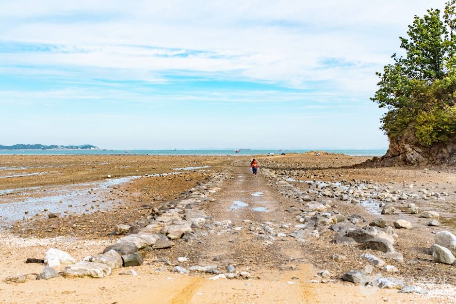 thumbnail-마섬포구-3