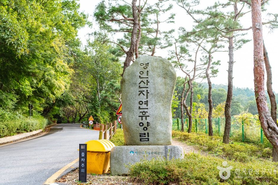 아산 영인산자연휴양림