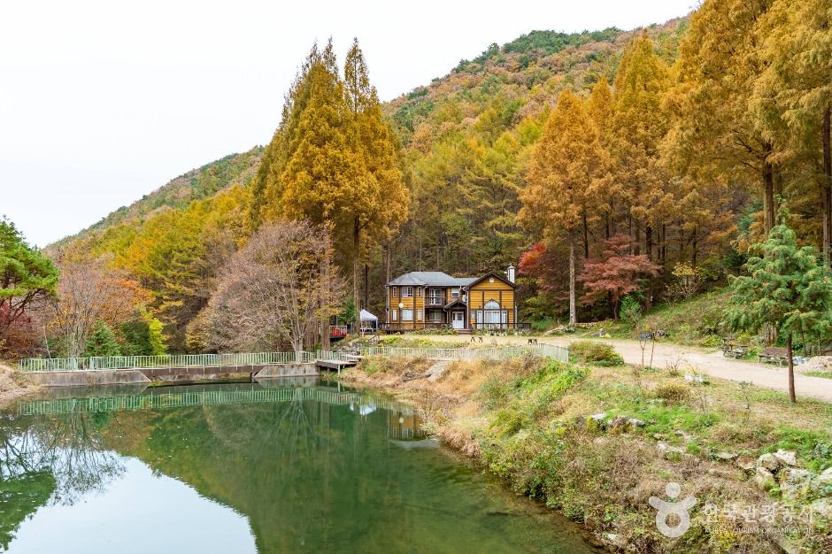 온빛자연휴양림