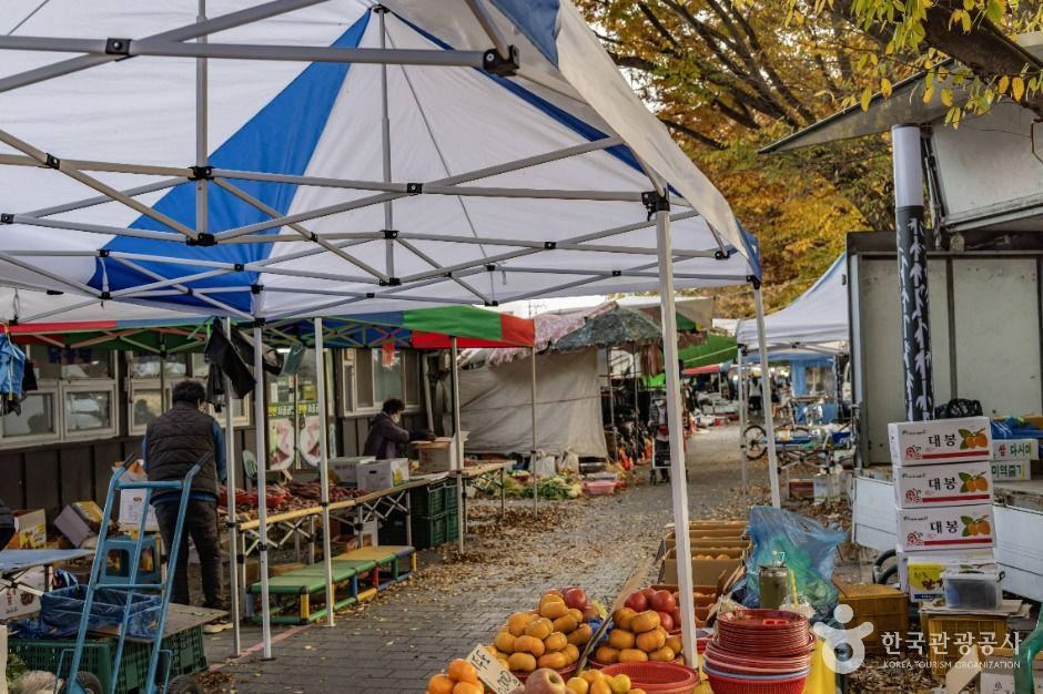 담양_담양시장 (4)