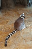 아쿠아플라넷_3