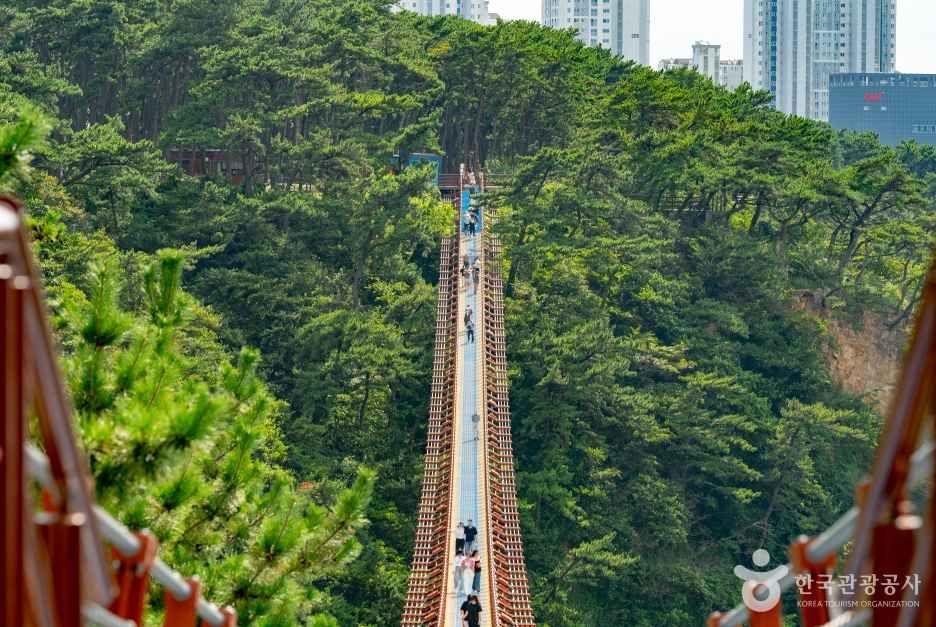 대왕암공원 출렁다리