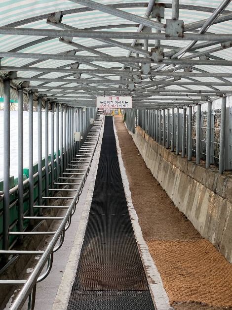 수승대 썰매장_3