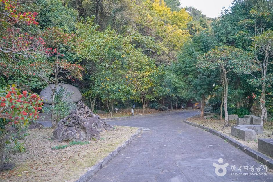 [하영올레] 1코스