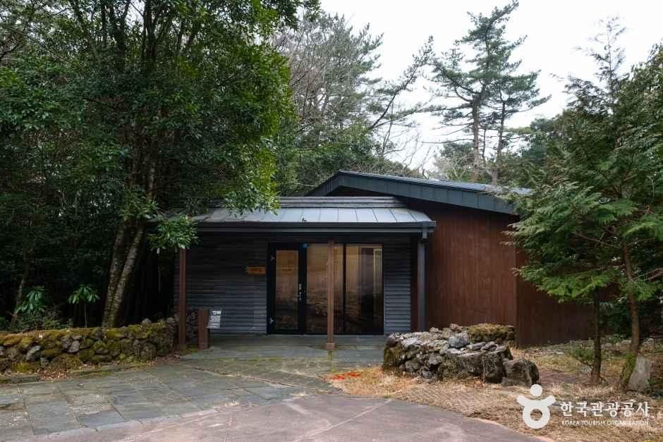 thumbnail-서귀포 치유의 숲-13