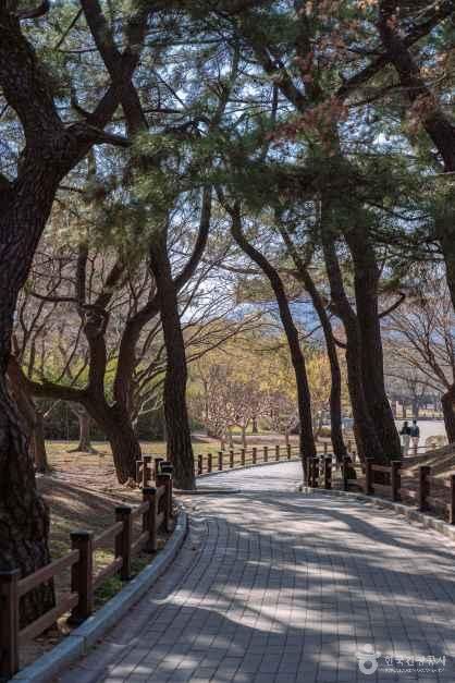 thumbnail-경주 대릉원 일원-13