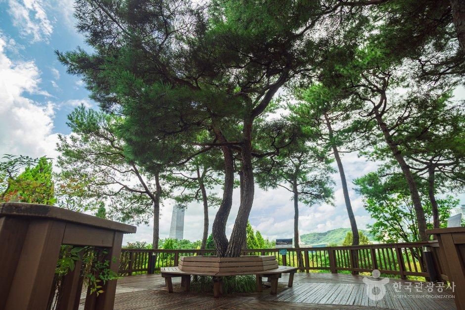 thumbnail-한밭수목원-18