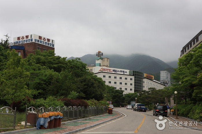 Spezielle Touristenzone Baegam Oncheon (백암온천 관광특구)