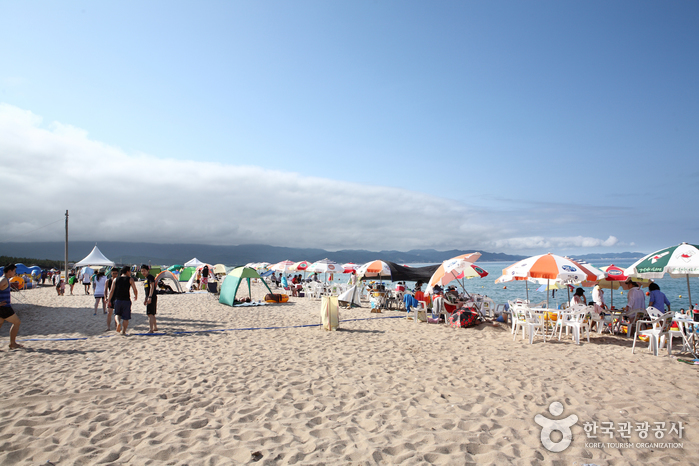 Daejin Beach (대진해수욕장)
