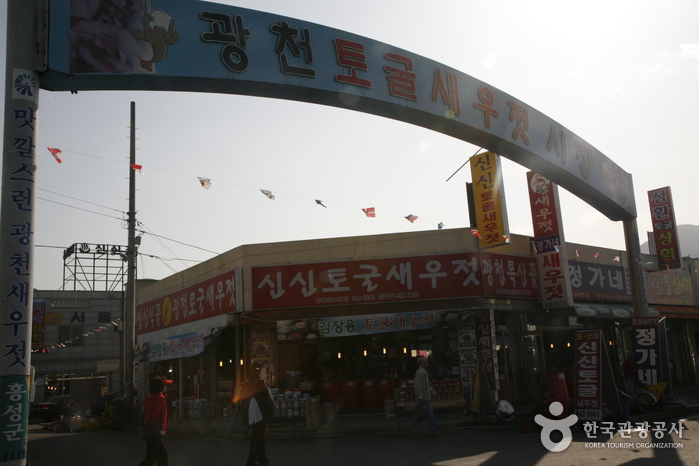 Gwangcheon Cave Salted Shrimp Market (광천 토굴새우젓시장)