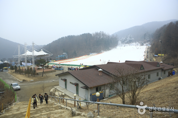 Pista para Trineos de Hanhwa Resort en Yangpyeong (양평한화리조트 눈썰매장)