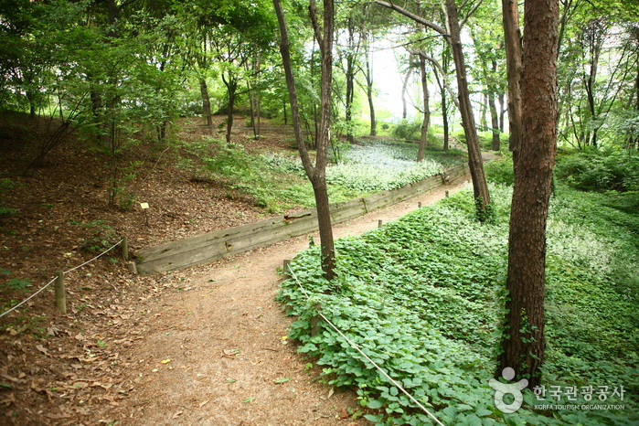 洪陵树木园(홍릉수목원)