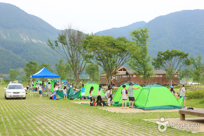 Jaraseom Camping (자라섬오토캠핑장)