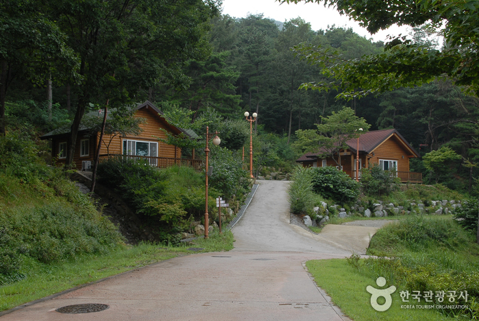 Bongsusan Recreational Forest (봉수산 자연휴양림)
