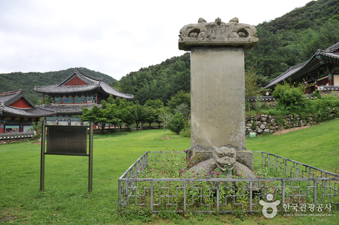 보림사(장흥) 사진8
