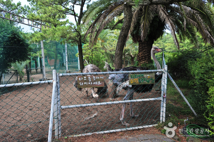 Hallim Park (한림공원)