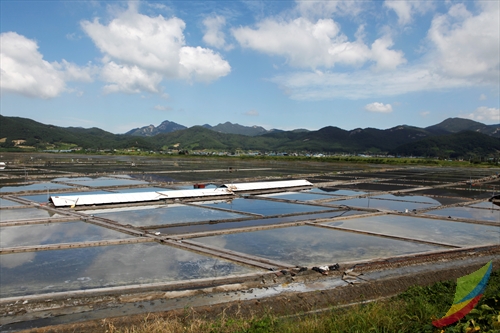 Gomso Salt Field (곰소염전)