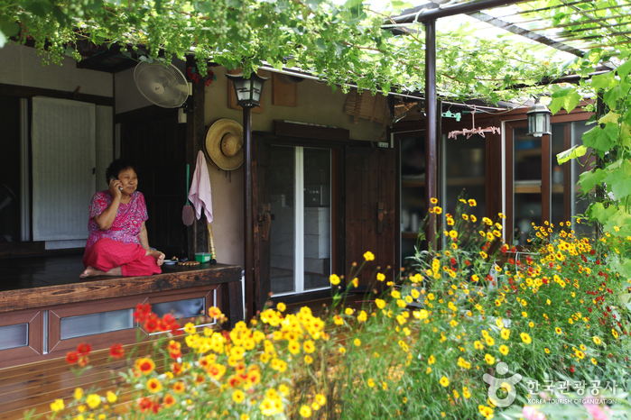 Yeongju Museom Village (영주 무섬마을)