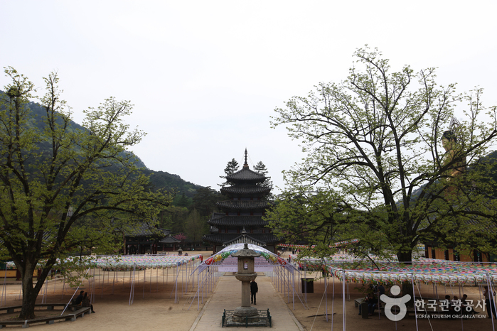 Songnisan Special Tourist Zone (속리산 관광특구)