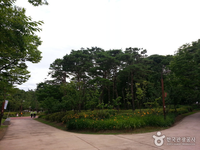 Jangchungdan Park (장충단공원)