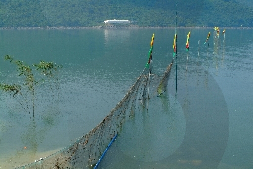 장흥 개매기축제 20180