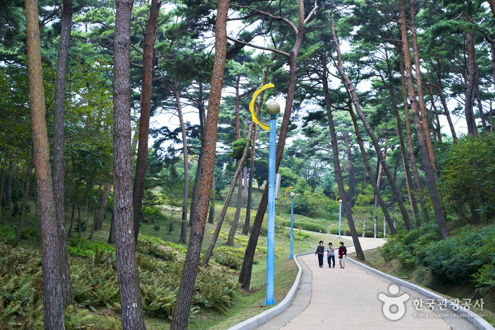 安眠島自然休養林(안면도자연휴양림)