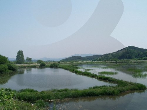 창녕 우포늪 사진23