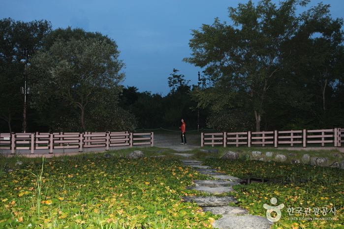 Hanbat Arboretum (한밭수목원)8