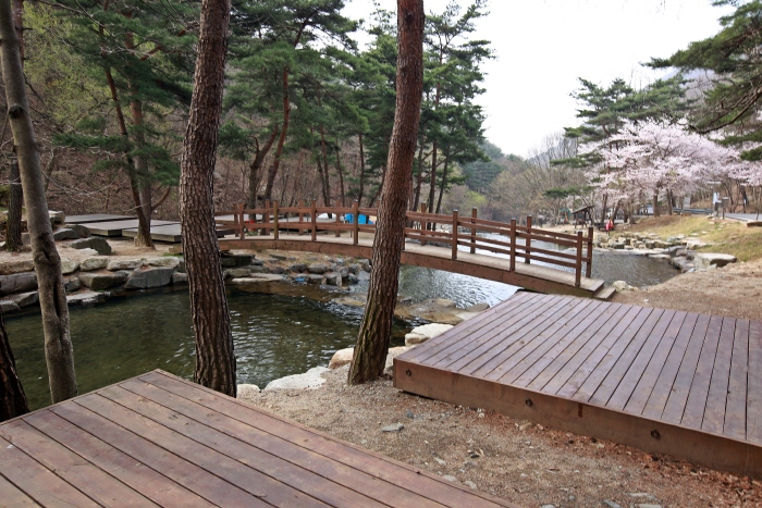 오도산자연휴양림 내 캠핑데크