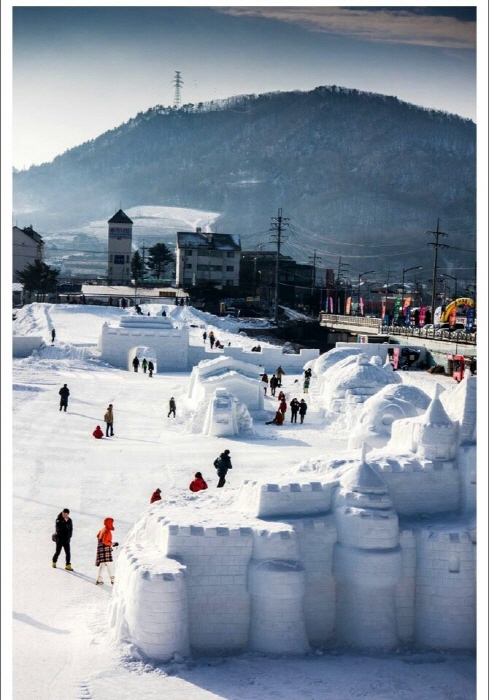 대관령 눈꽃축제 2017 사진7