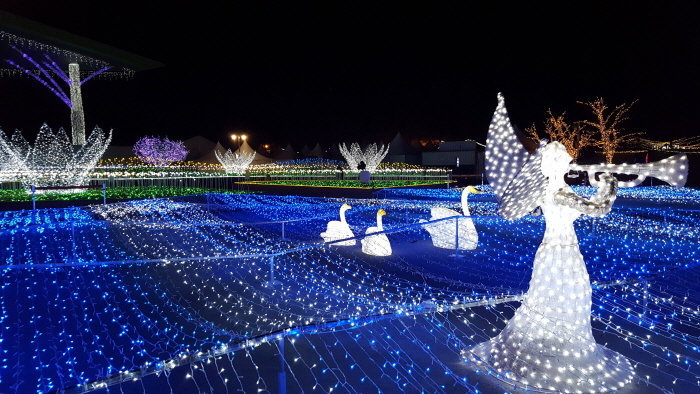 고양호수꽃빛축제 (Goyang Light Blooming Festival) 2017 사진5