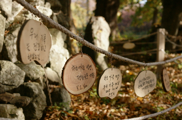 진안군 마을축제 20197