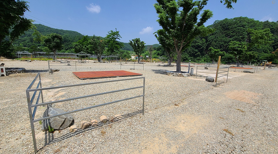 괴산홍삼랜드 가족캠핑장