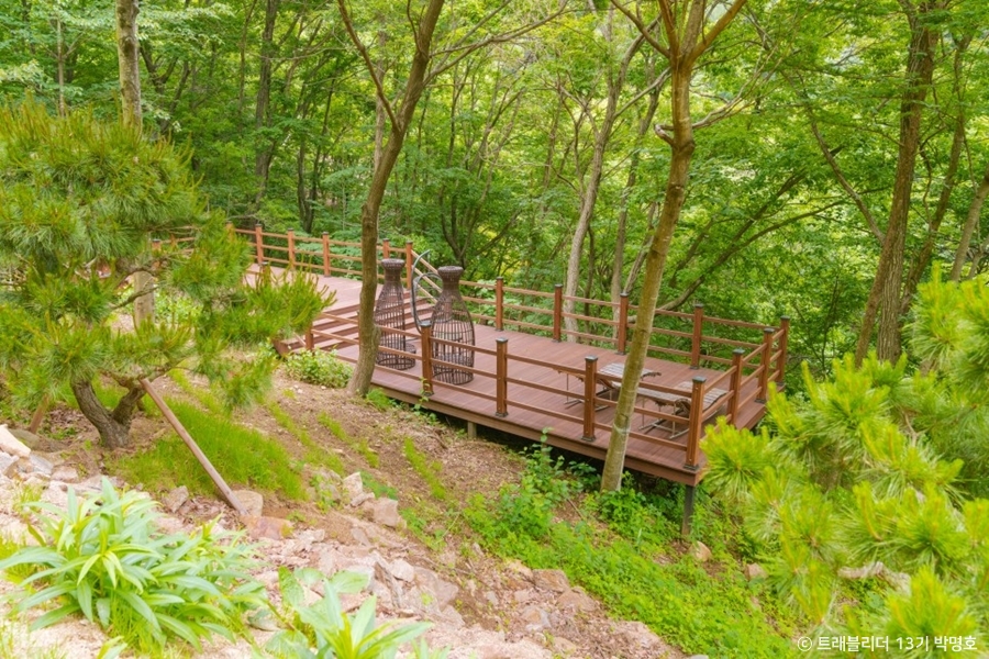 김천 물소리 생태숲
