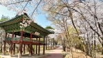 낙화암 (2)