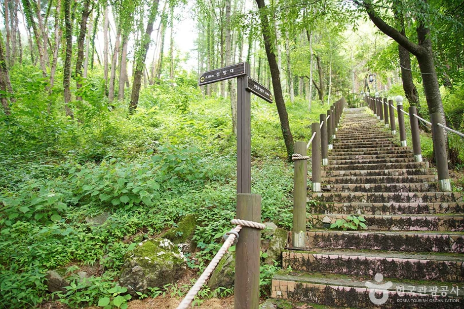 조양산(정선)